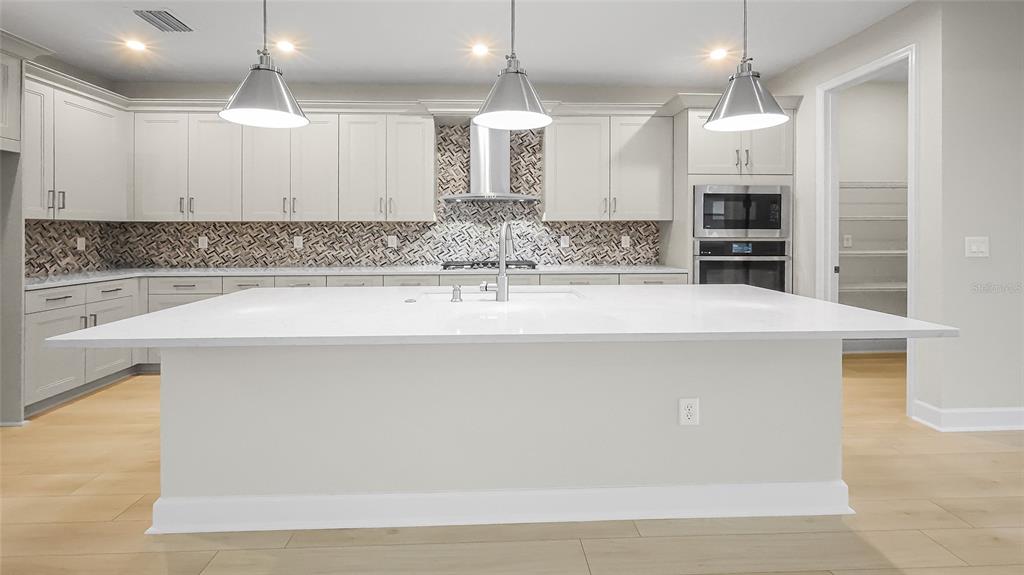 1620 Bellagio Loop Tavares, FL 32778 - Photo 17 of 81