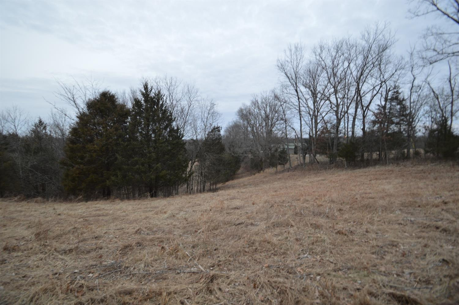 1170 Dennis Road, Unit 9 Lawrenceburg, KY 40342 - Photo 11 of 12 Photo 11