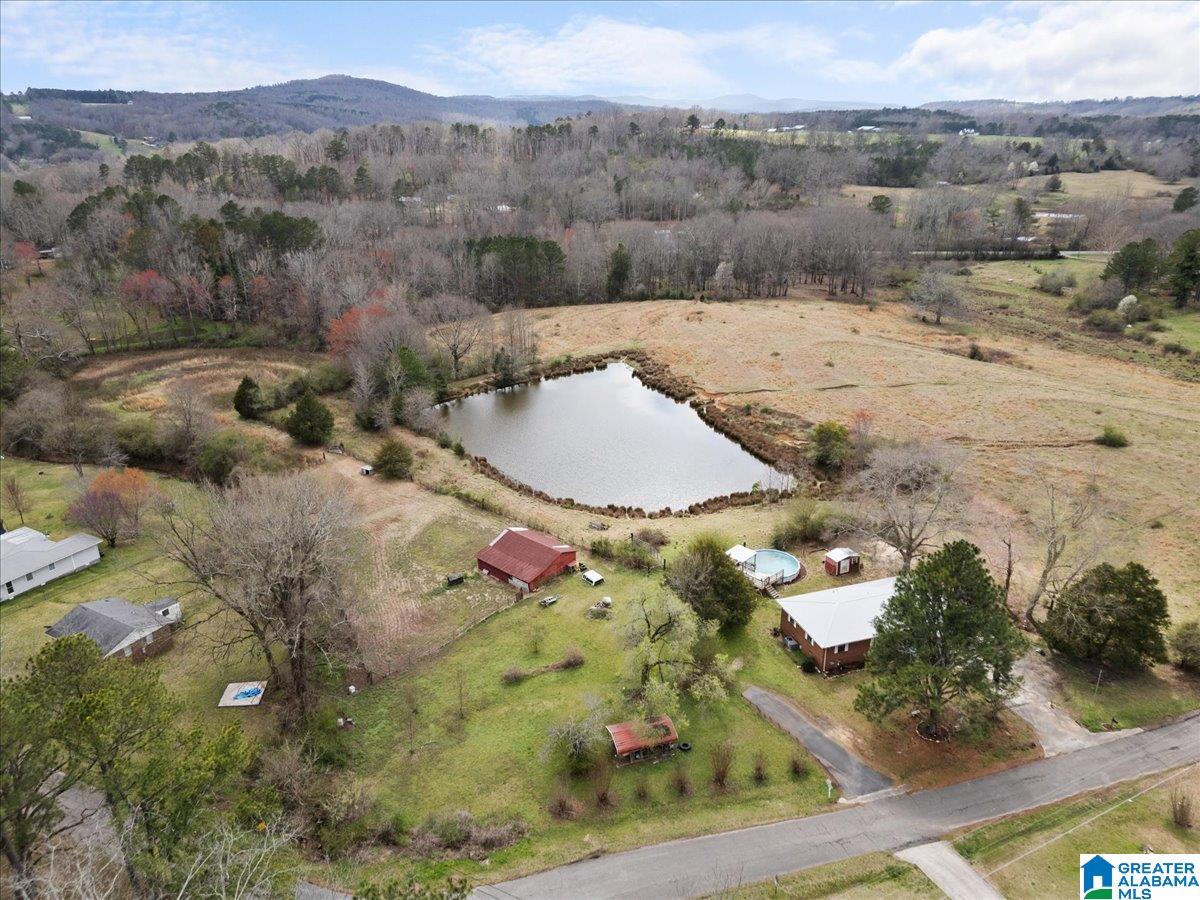 31 Briarwood Road Blountsville, AL 35031 - Photo 15 of 30