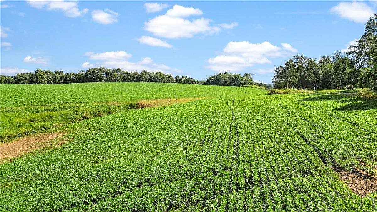 2426 Segal Road Brownsville, KY 42210 - Photo 14 of 43 Gallery Image 14