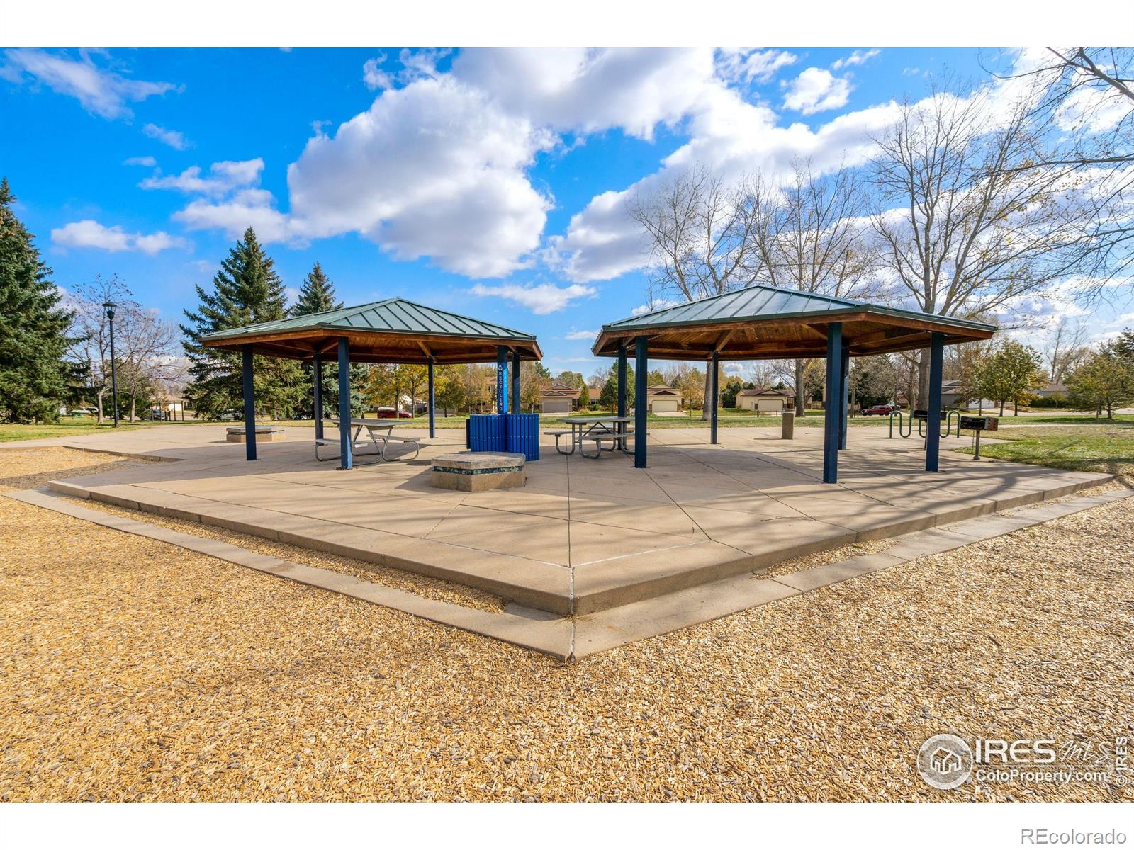 3367 Dudley Way Fort Collins, CO 80526 - Photo 28 of 29 a view of a yard with cars