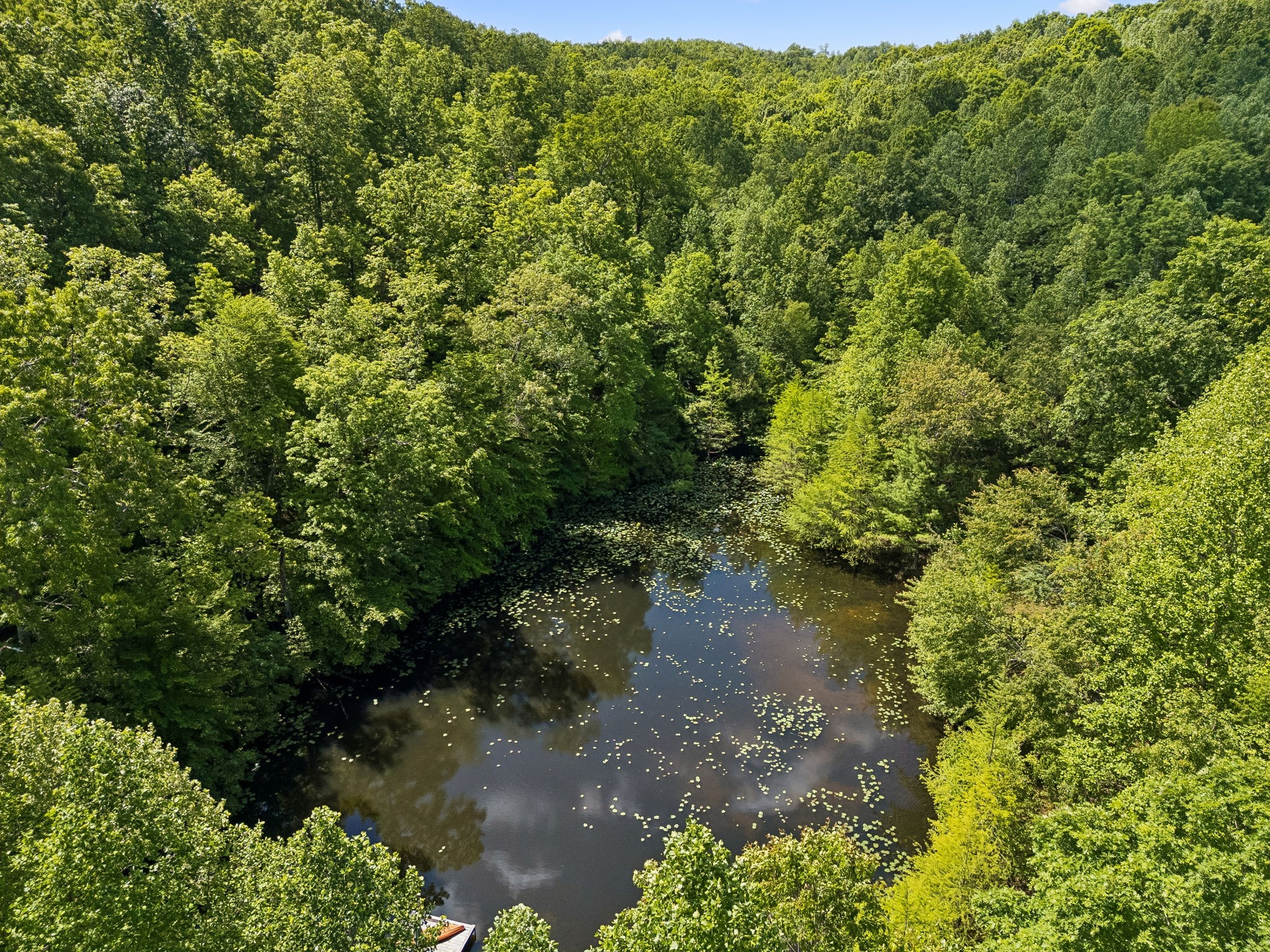 363 Overhead Bridge Road Hampshire, TN 38461 - Photo 83 of 85 Gallery Image 83