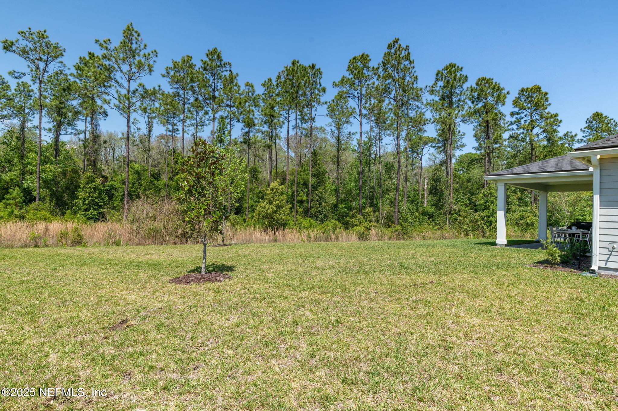 85 Nightfall Court St. Augustine, FL 32095 - Photo 56 of 108 Large Private Backyard