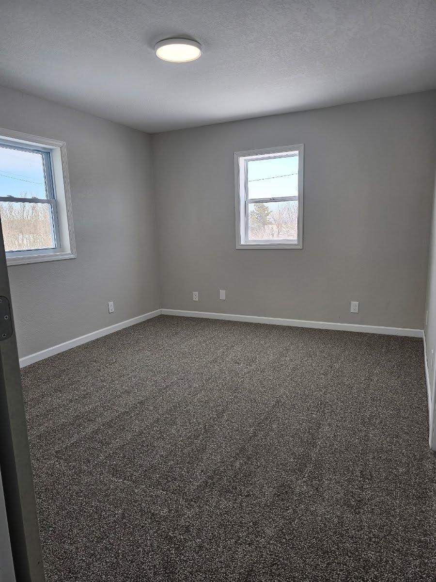 24316 200th Street Long Prairie, MN 56347 - Photo 14 of 23