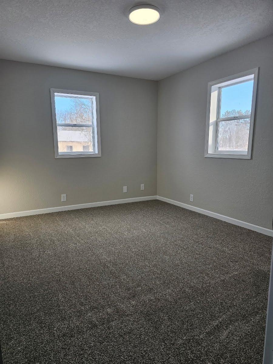 24316 200th Street Long Prairie, MN 56347 - Photo 15 of 23