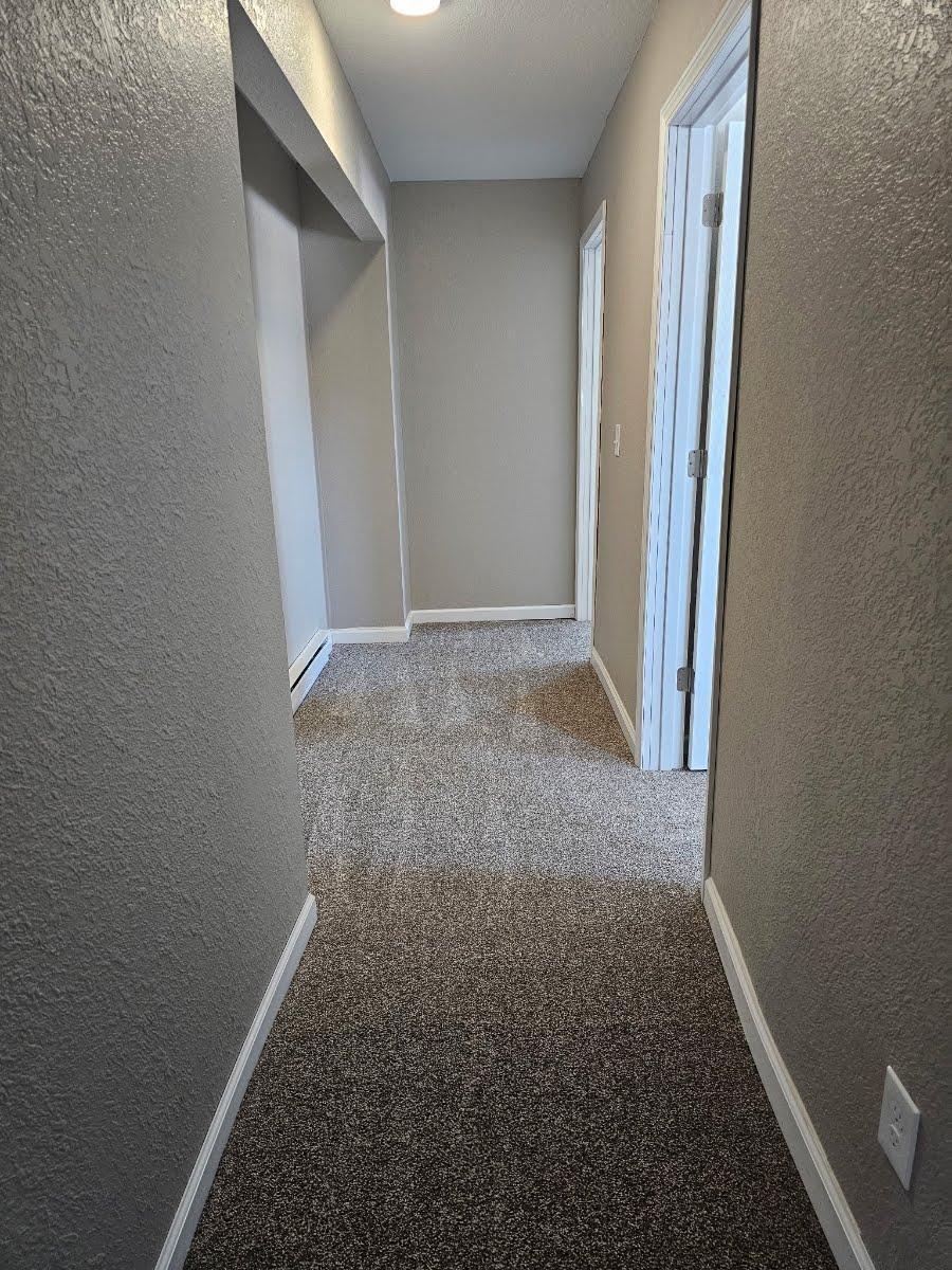 24316 200th Street Long Prairie, MN 56347 - Photo 16 of 23