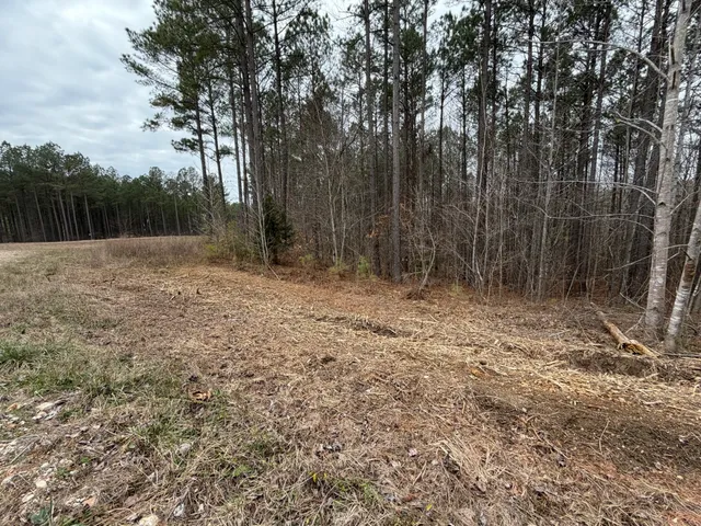a view of backyard with green space
