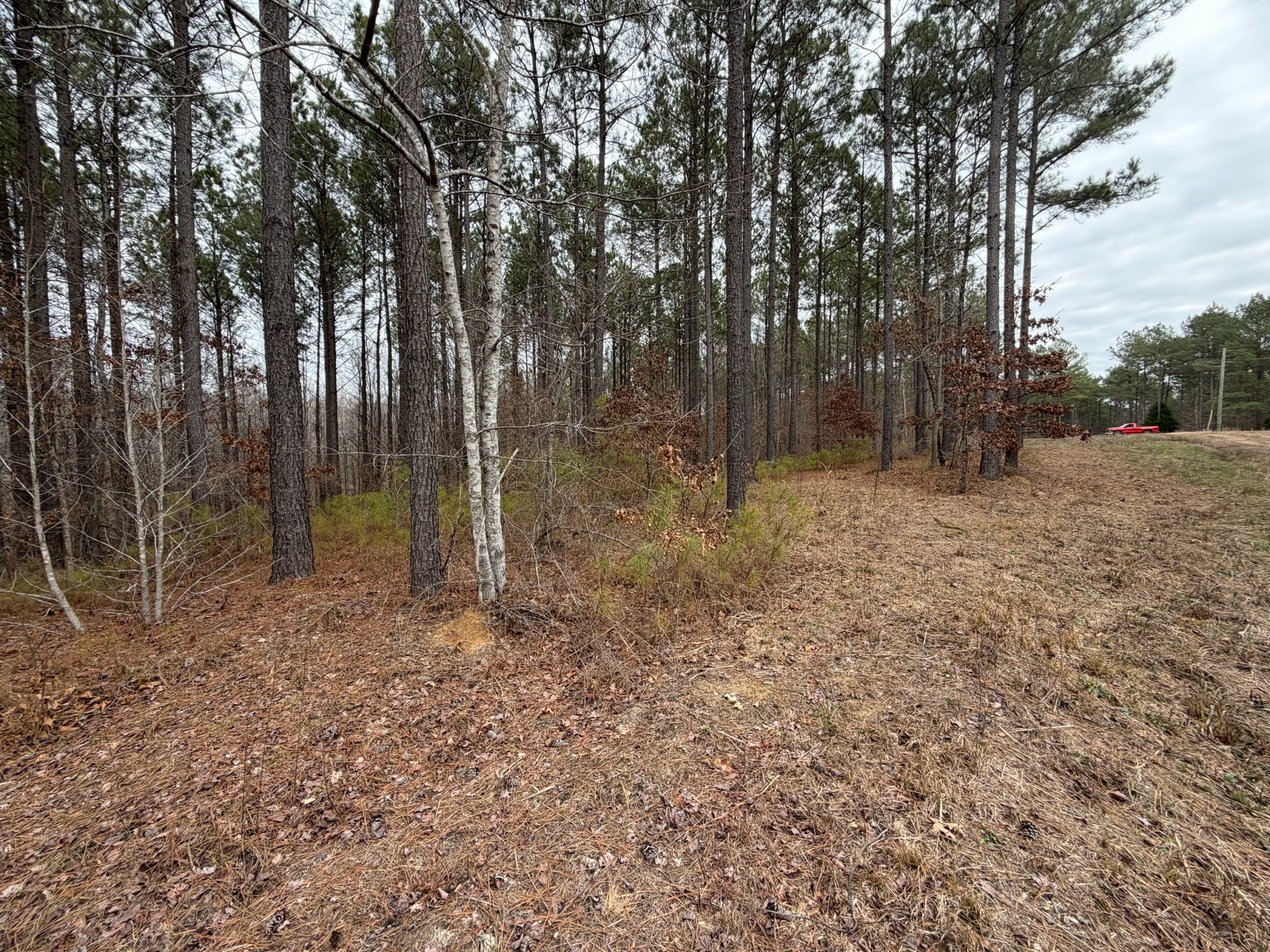 1 A Bartlett Road Reagan, TN 38368 - Photo 12 of 13 a backyard of a house with lots of green space