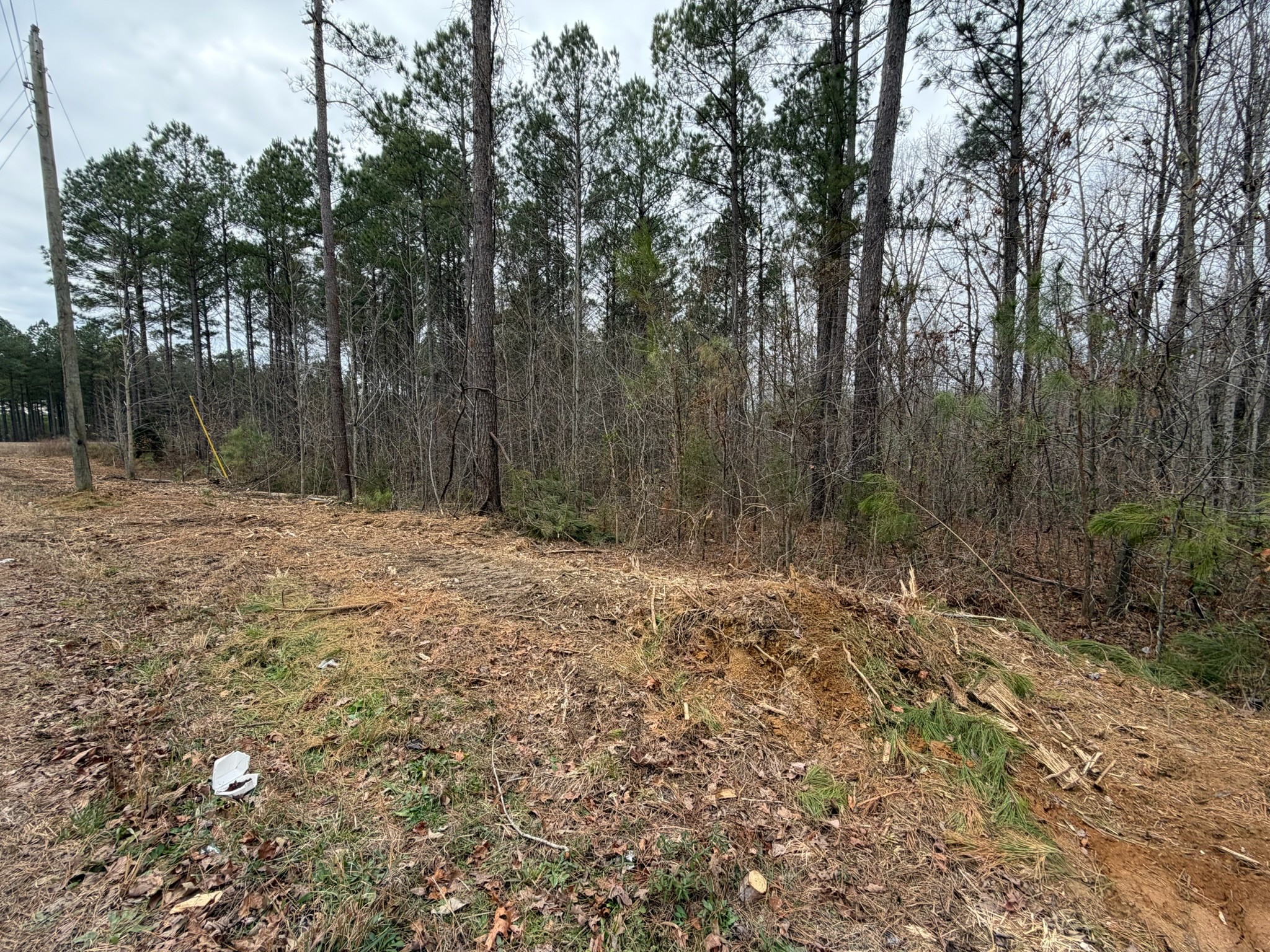 1 A Bartlett Road Reagan, TN 38368 - Photo 2 of 13 a fire hydrant in the middle of a field