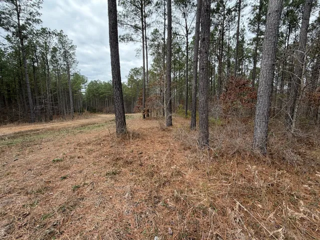 a view of outdoor space with trees