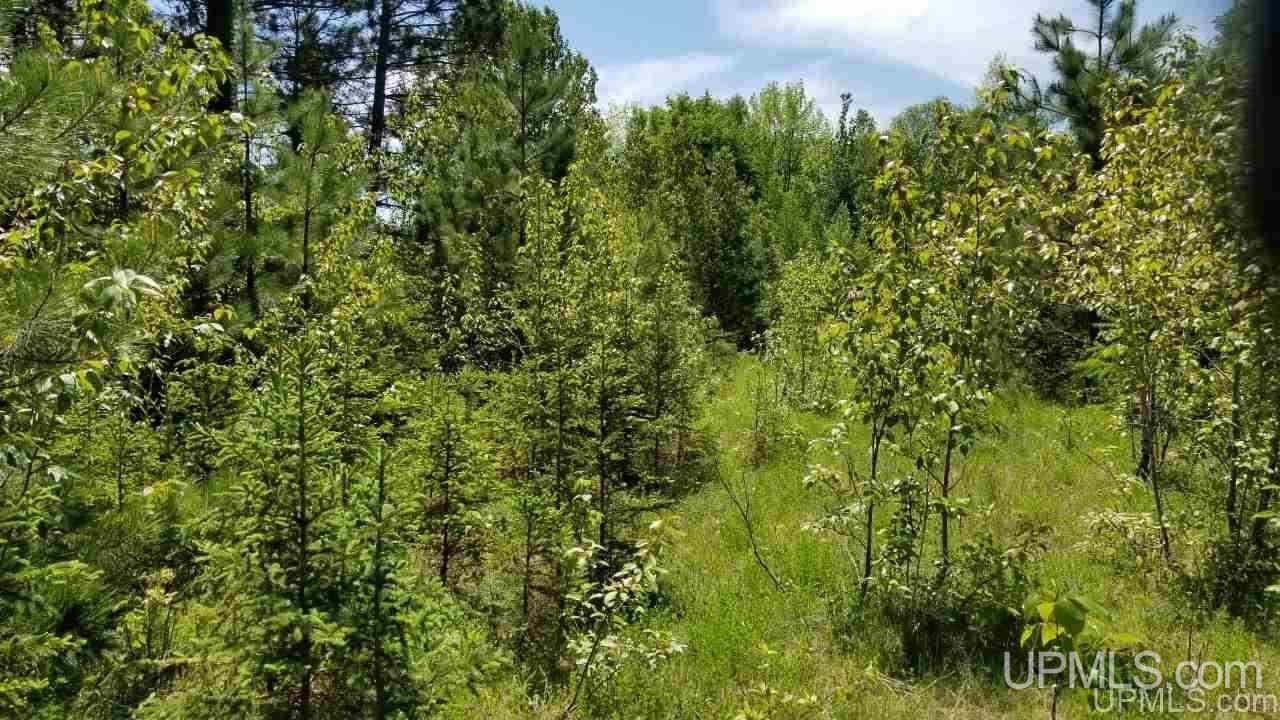 Tbd North Angeli Road, Unit 15 Iron River, MI 49935 - Photo 10 of 15