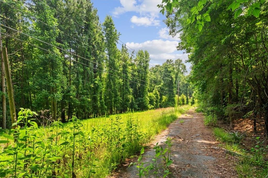 2607 Horseleg Creek Road Southwest Rome, GA 30165 - Photo 2 of 17