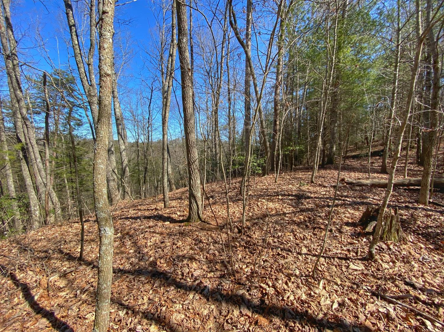 1 Sandy Ridge Road Campton, KY 41301 - Photo 31 of 33 Photo 31