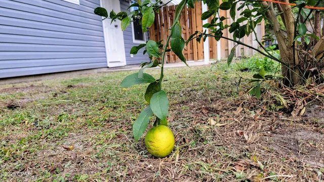 $227,000 | 1545 Chandlee Avenue, Panama City, FL 32405