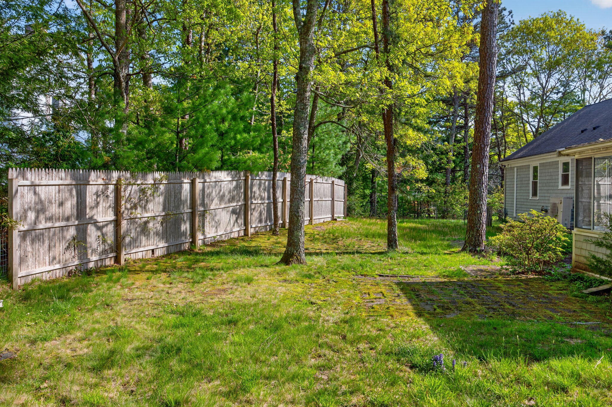 80 Roosevelt Road Cotuit, MA 02635 - Photo 44 of 44 48-B8P0A4475