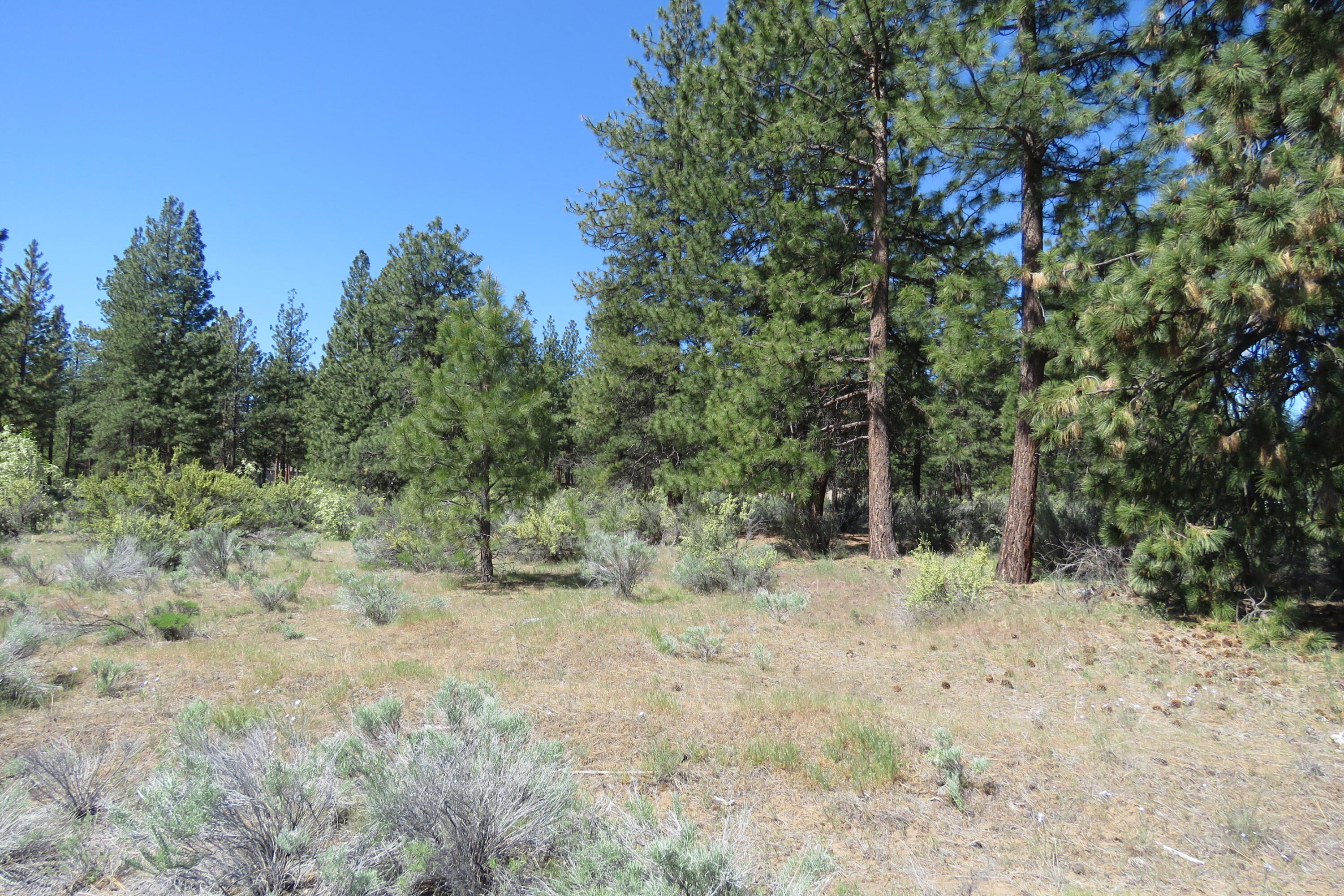 Castle Drive Chiloquin, OR 97624 - Photo 11 of 12 IMG_4570