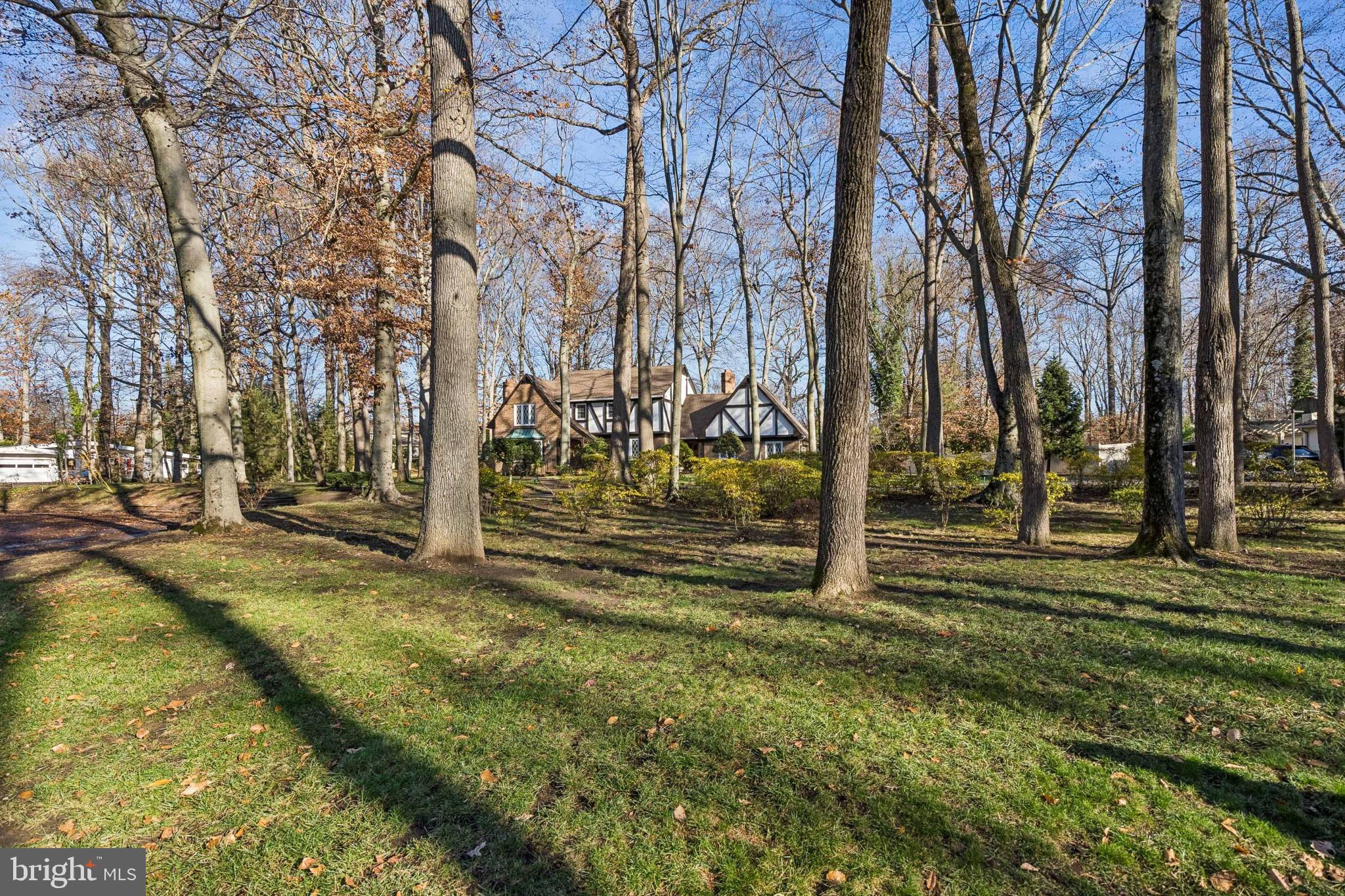 2 Oriole Way Moorestown, NJ 08057 - Photo 3 of 28 a view of yard with tree