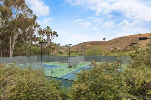 a view of a field with a tree