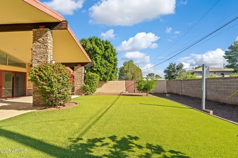 a view of a backyard