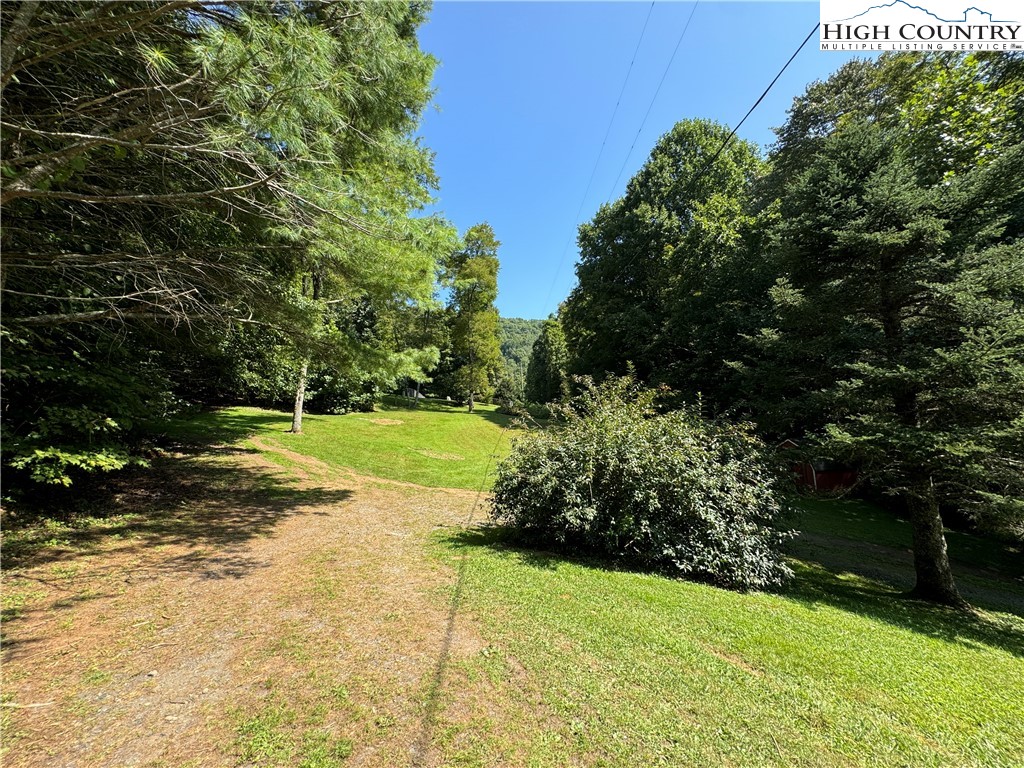 321 Skin Camp Creek Road Todd, NC 28684 - Photo 27 of 29 a view of a garden with an outdoor space