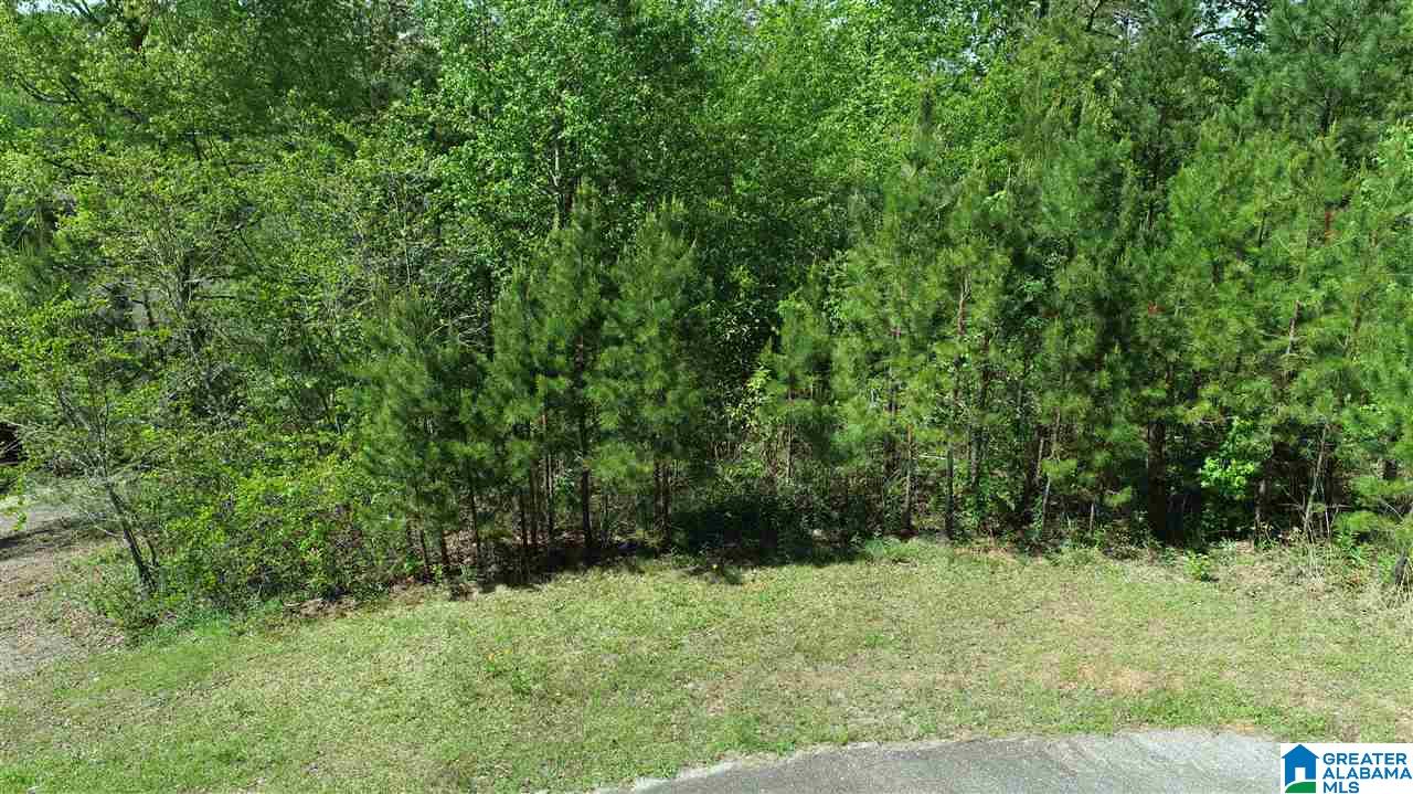 0 Brookwater Way, Unit 6 Wedowee, AL 36278 - Photo 6 of 7