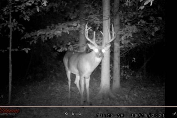 0 Dent Road Sunbury, OH 43074 - Photo 20 of 65 image001