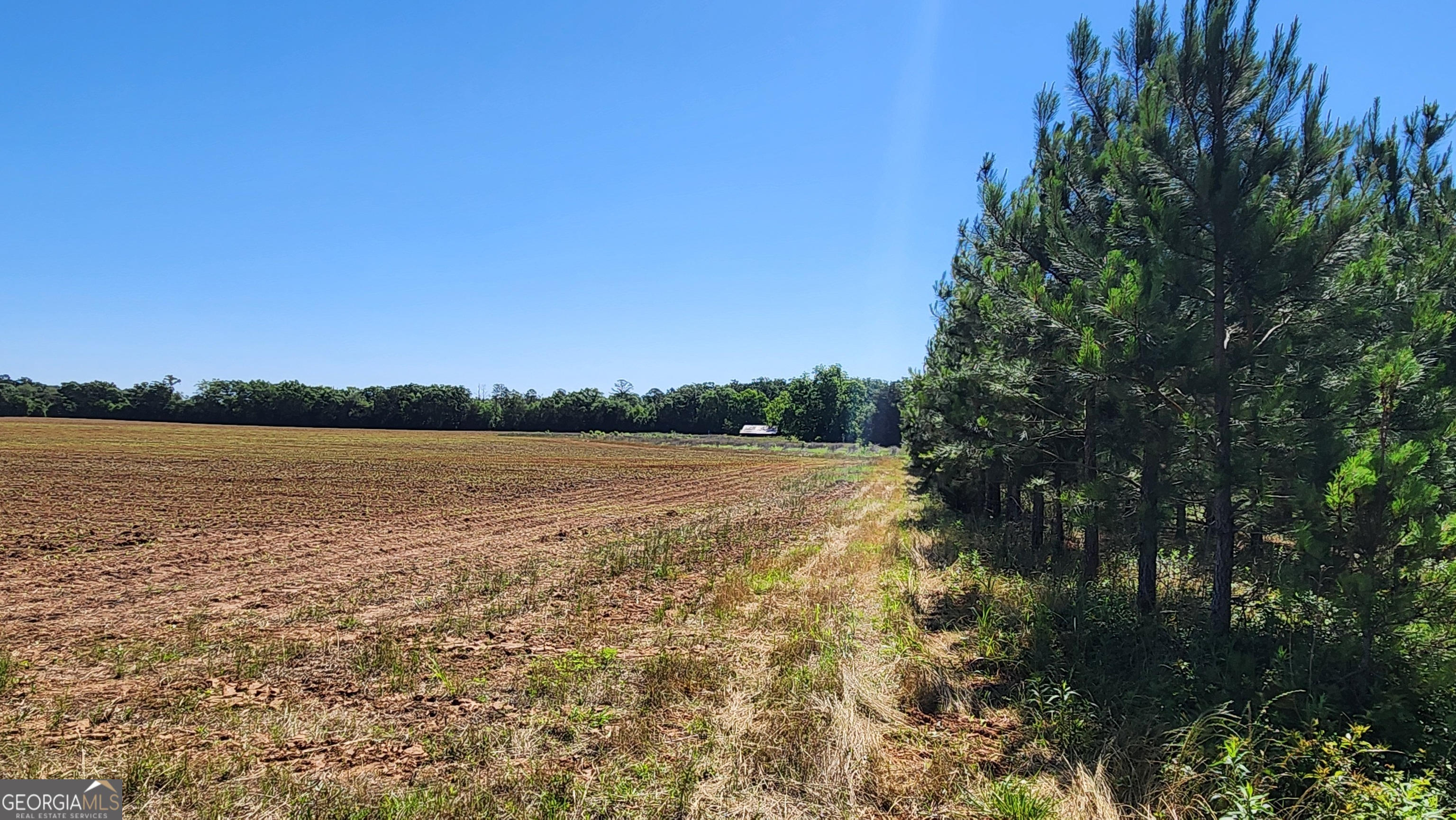 246 Melton Mill Road Dawson, GA 39842 - Photo 71 of 78