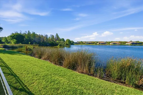 $1,550,000 | 18634 Avenue Capri, Lutz, FL 33558