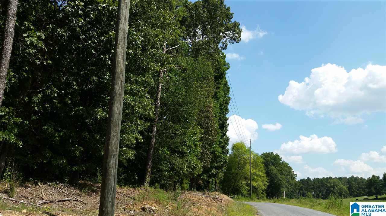 1885 Brooks Lake Road Lincoln, AL 35096 - Photo 8 of 30