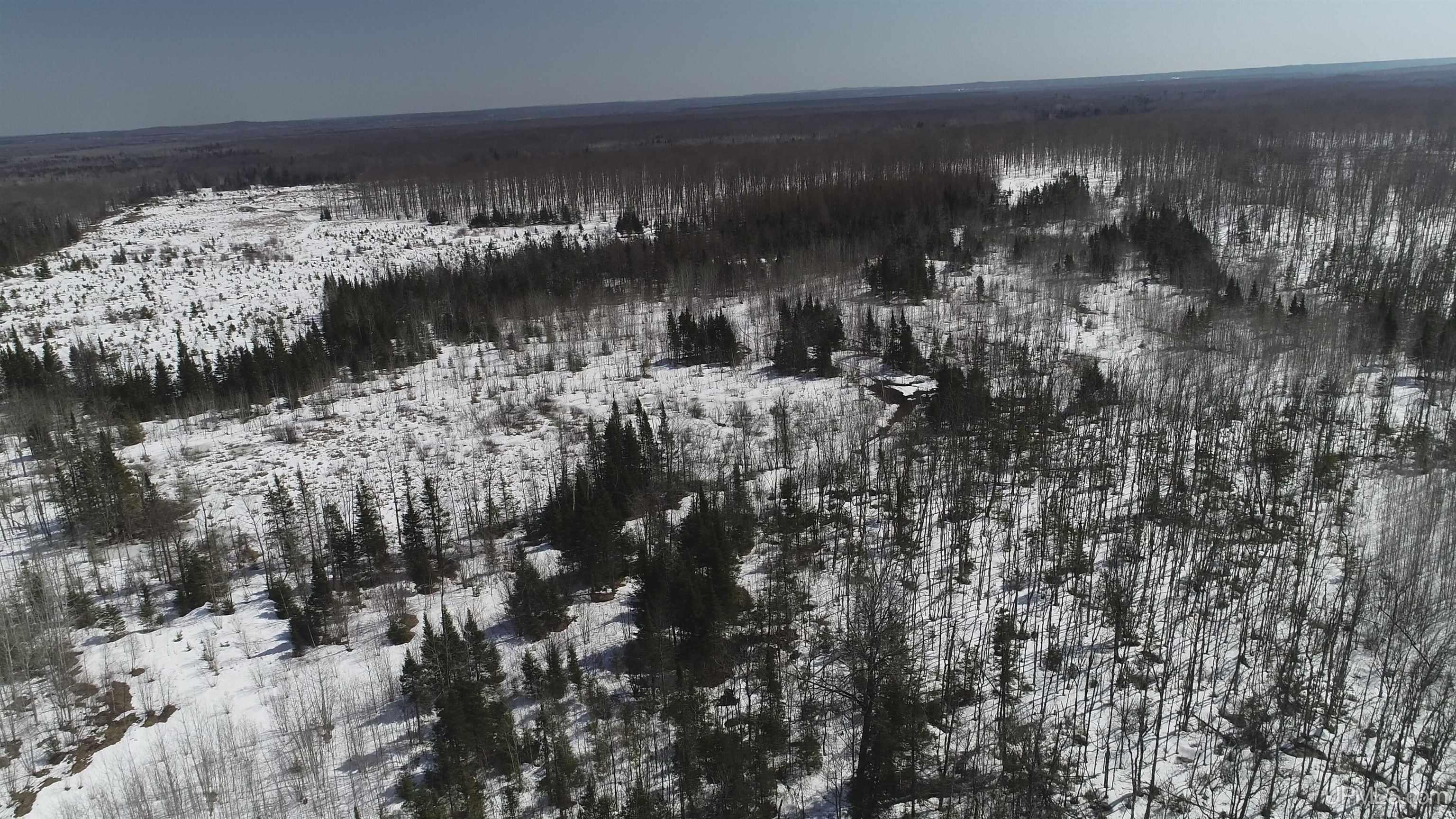 V25 Rd Trenary Mi 49891 Road Rapid River, MI 49878 - Photo 16 of 28
