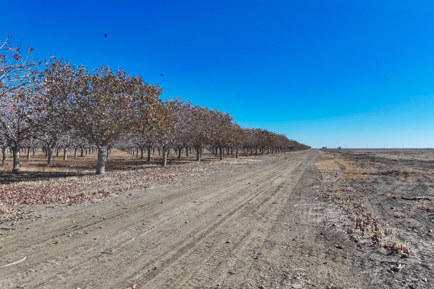 33751 West Adams Avenue Mendota, CA 93640 - Photo 4 of 12 a view of a yard with a mountain in the background