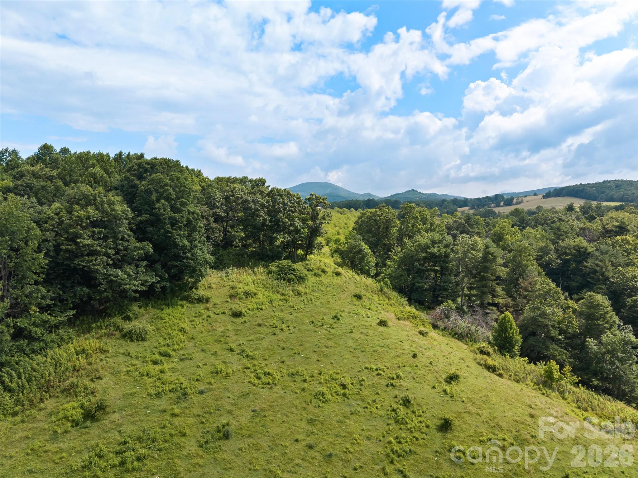 0 Summer Road, Unit 5 Hendersonville, NC 28792 - Photo 4 of 20