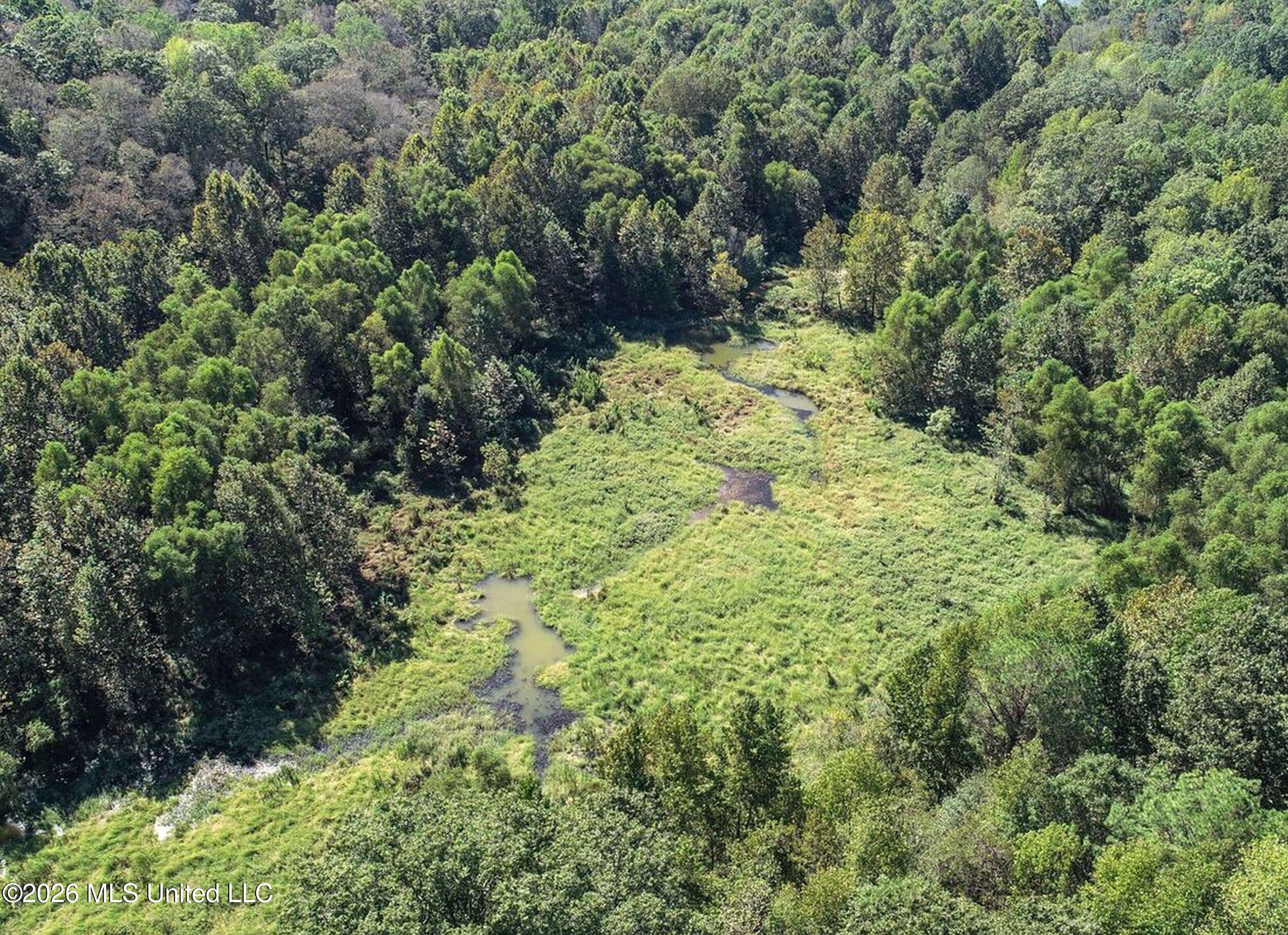 173 Cascilla Road Holcomb, MS 38940 - Photo 20 of 67 3csrdg14