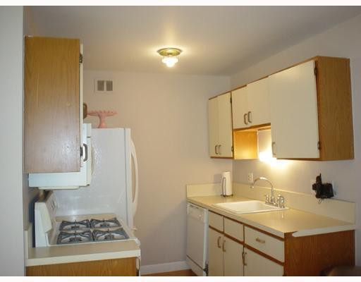 245 North Maple Road Saline, MI 48176 - Photo 4 of 8 Photo 4