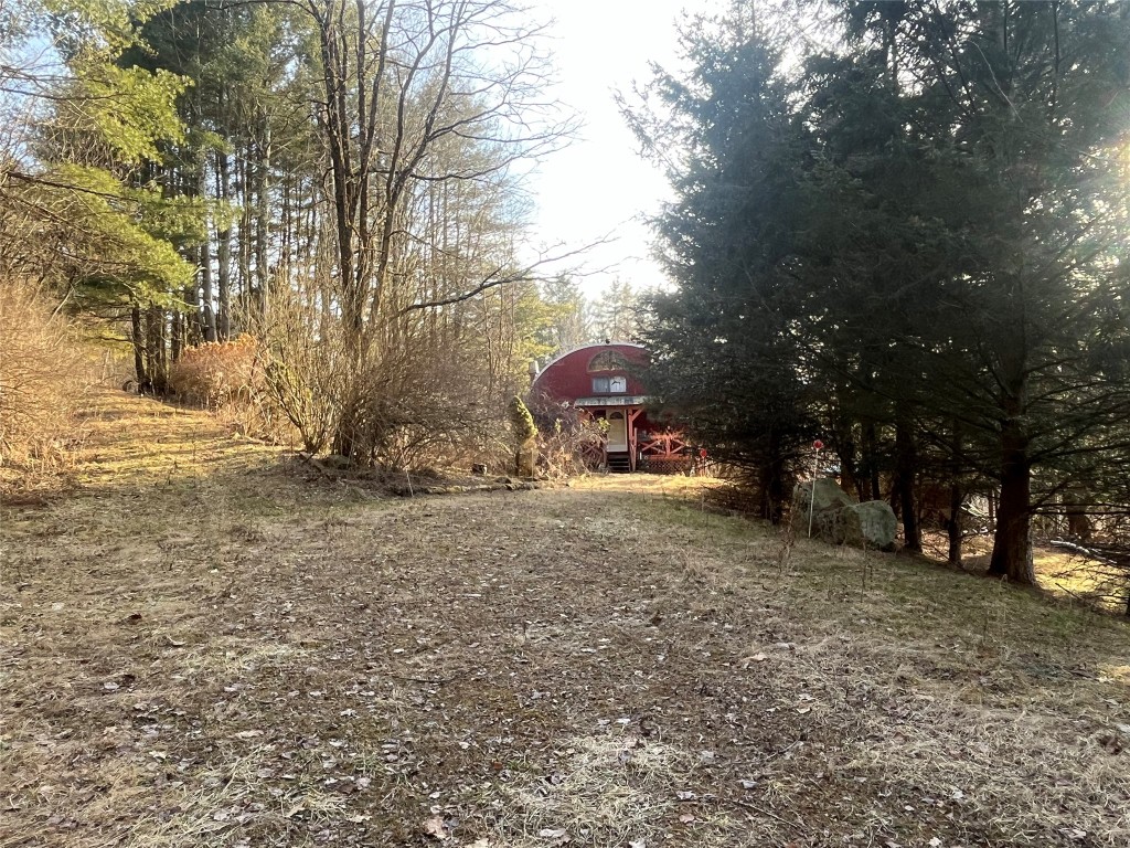 110 Layman Lane Greene, NY 13778 - Photo 4 of 29