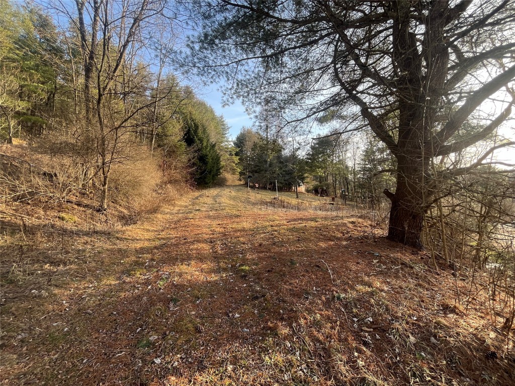 110 Layman Lane Greene, NY 13778 - Photo 7 of 29