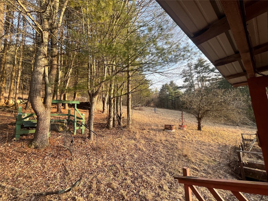 110 Layman Lane Greene, NY 13778 - Photo 8 of 29