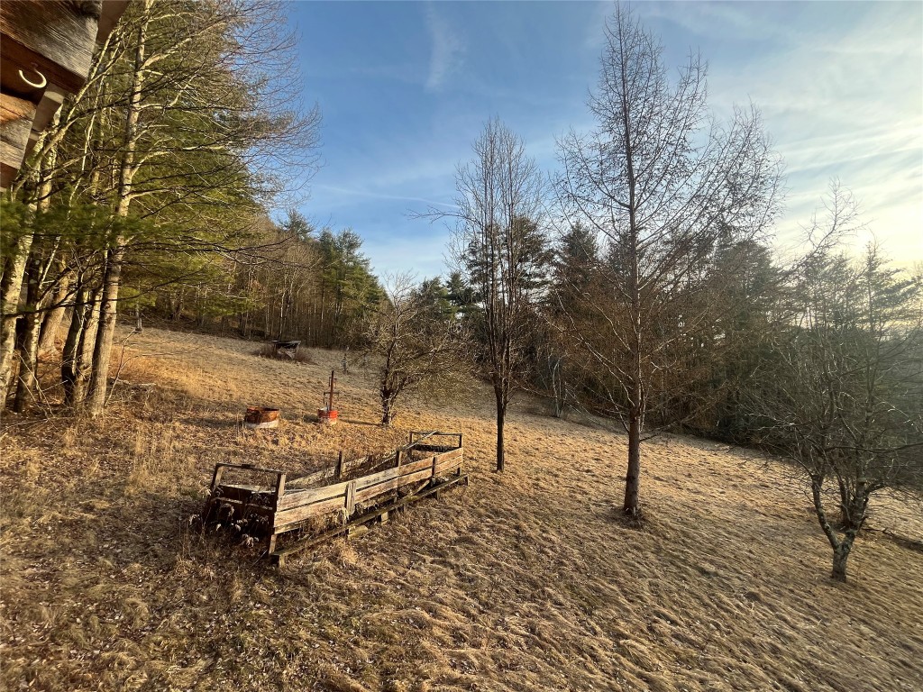 110 Layman Lane Greene, NY 13778 - Photo 10 of 29