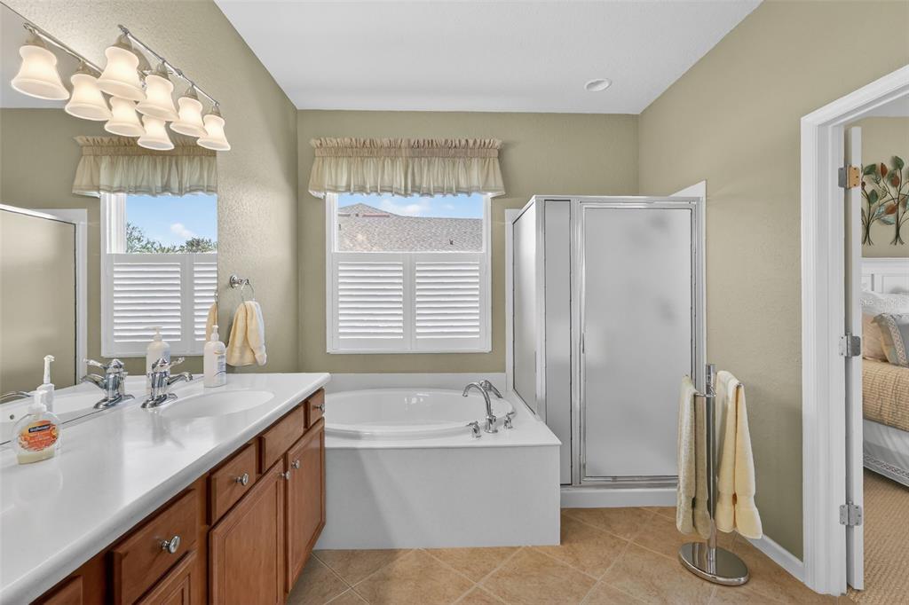 7271 Southwest 95th Court Ocala, FL 34481 - Photo 22 of 39 a bathroom with a tub sink and mirror
