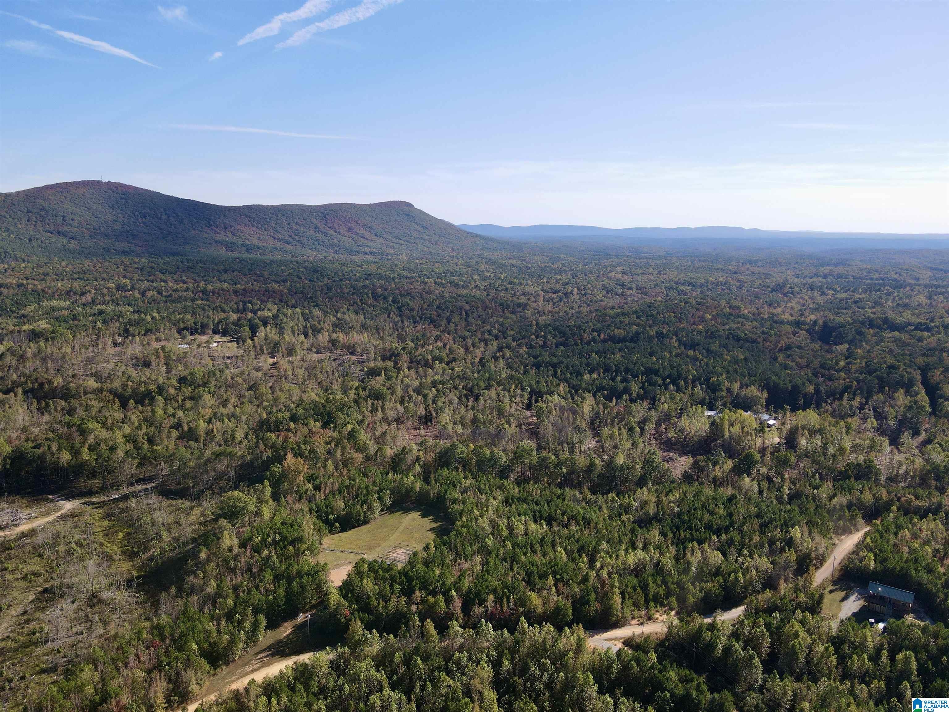 7070 Rendalia Motorway Talladega, AL 35160 - Photo 14 of 28
