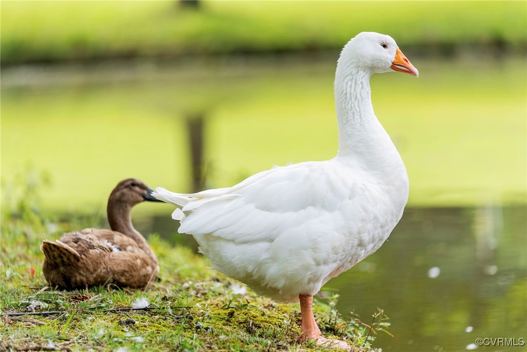 0 Us-250 Gum Spring, VA 23065 - Photo 14 of 14 a bathroom with a sink