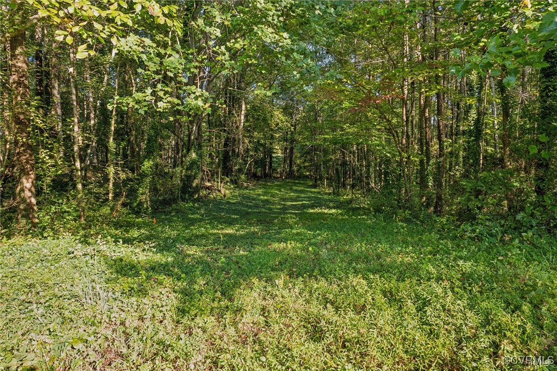 0 Us-250 Gum Spring, VA 23065 - Photo 4 of 14 a view of outdoor space and yard