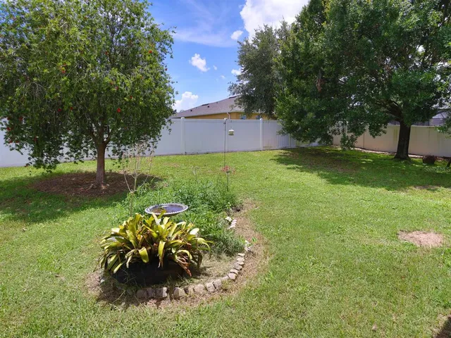 a view of a garden with plants and large trees