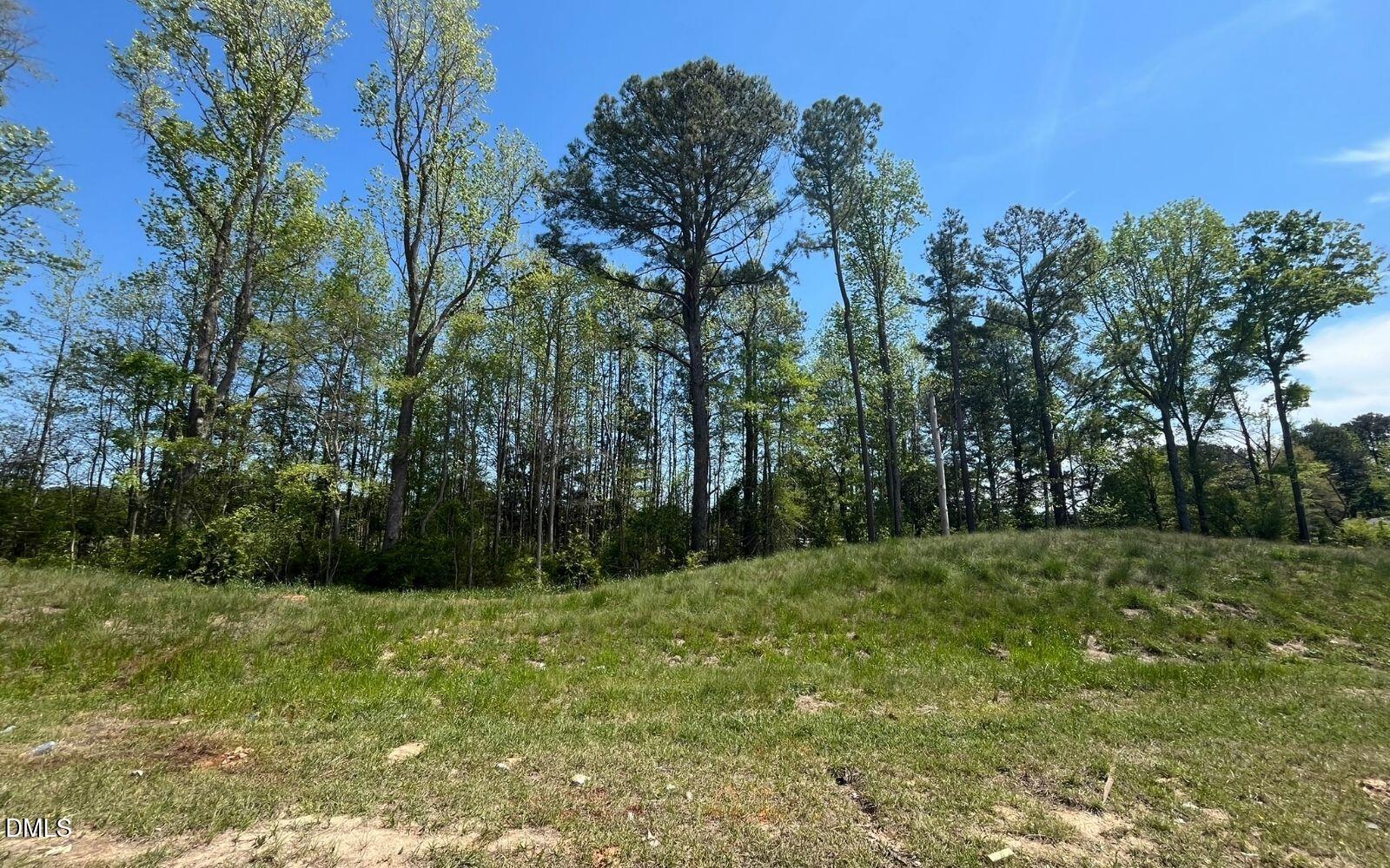 2430 Whitewing Lane Wendell, NC 27591 - Photo 2 of 31 a big yard with lots of green space and trees
