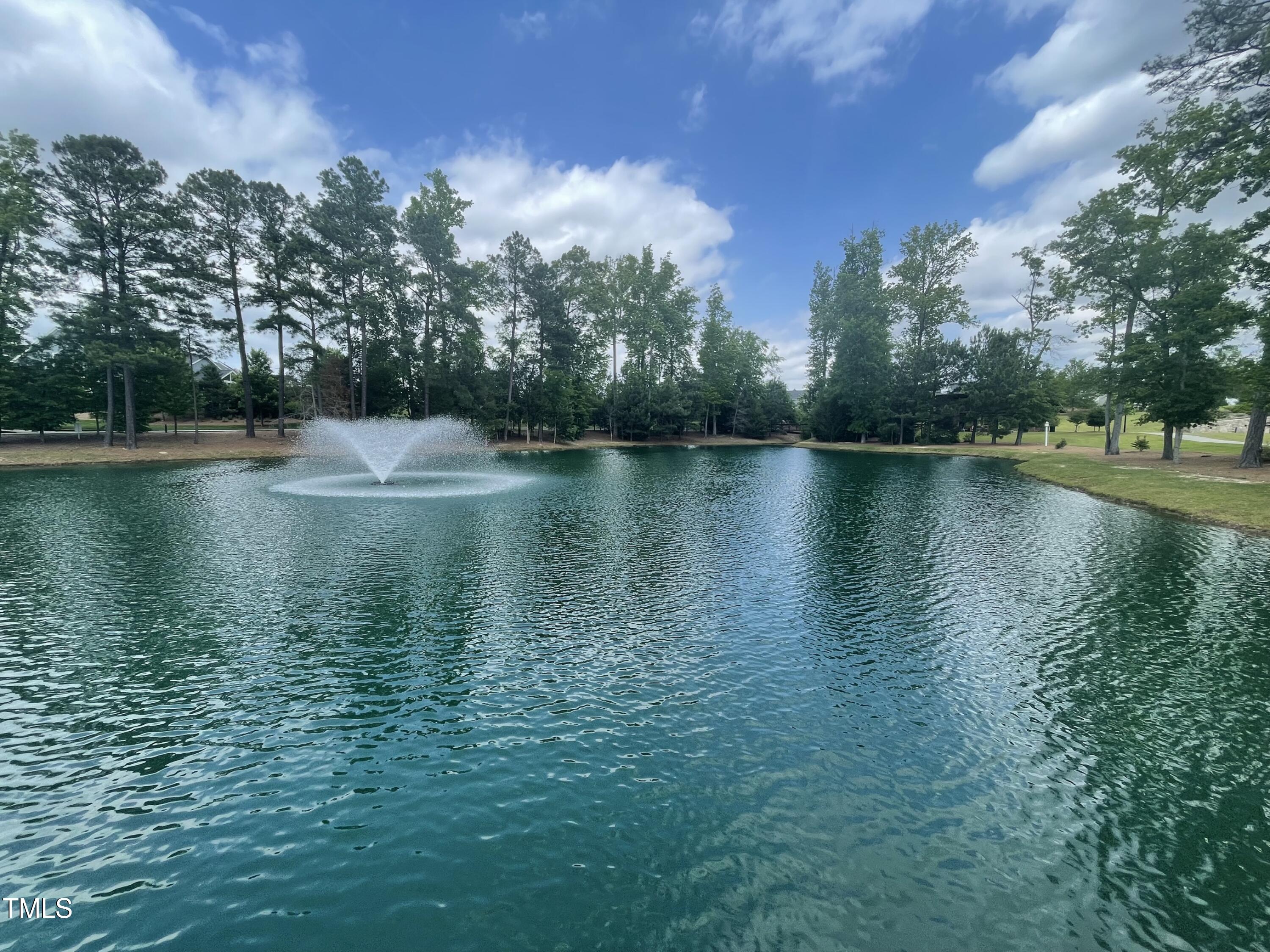 2430 Whitewing Lane Wendell, NC 27591 - Photo 23 of 31 a view of a lake