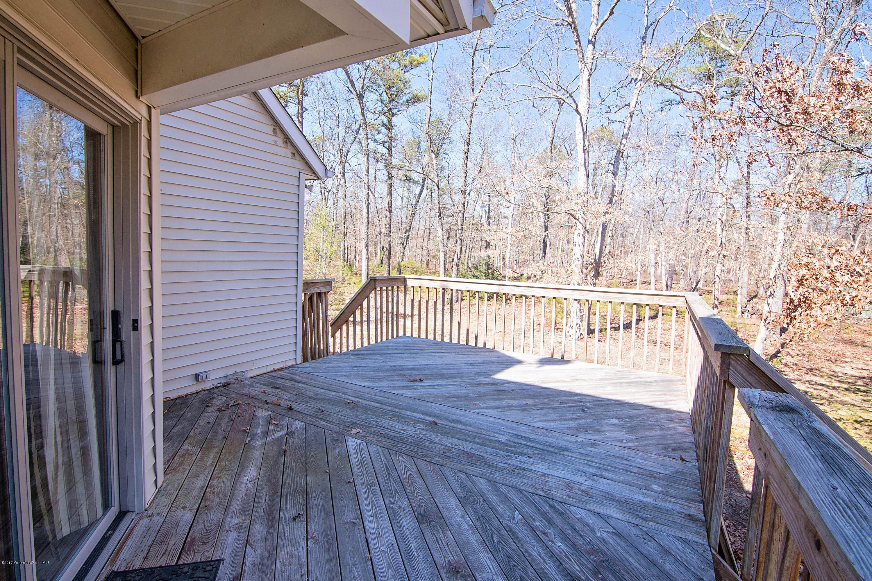951 Toms River Road Jackson, NJ 08527 - Photo 29 of 32 _RMJ7909.jpg edit deck