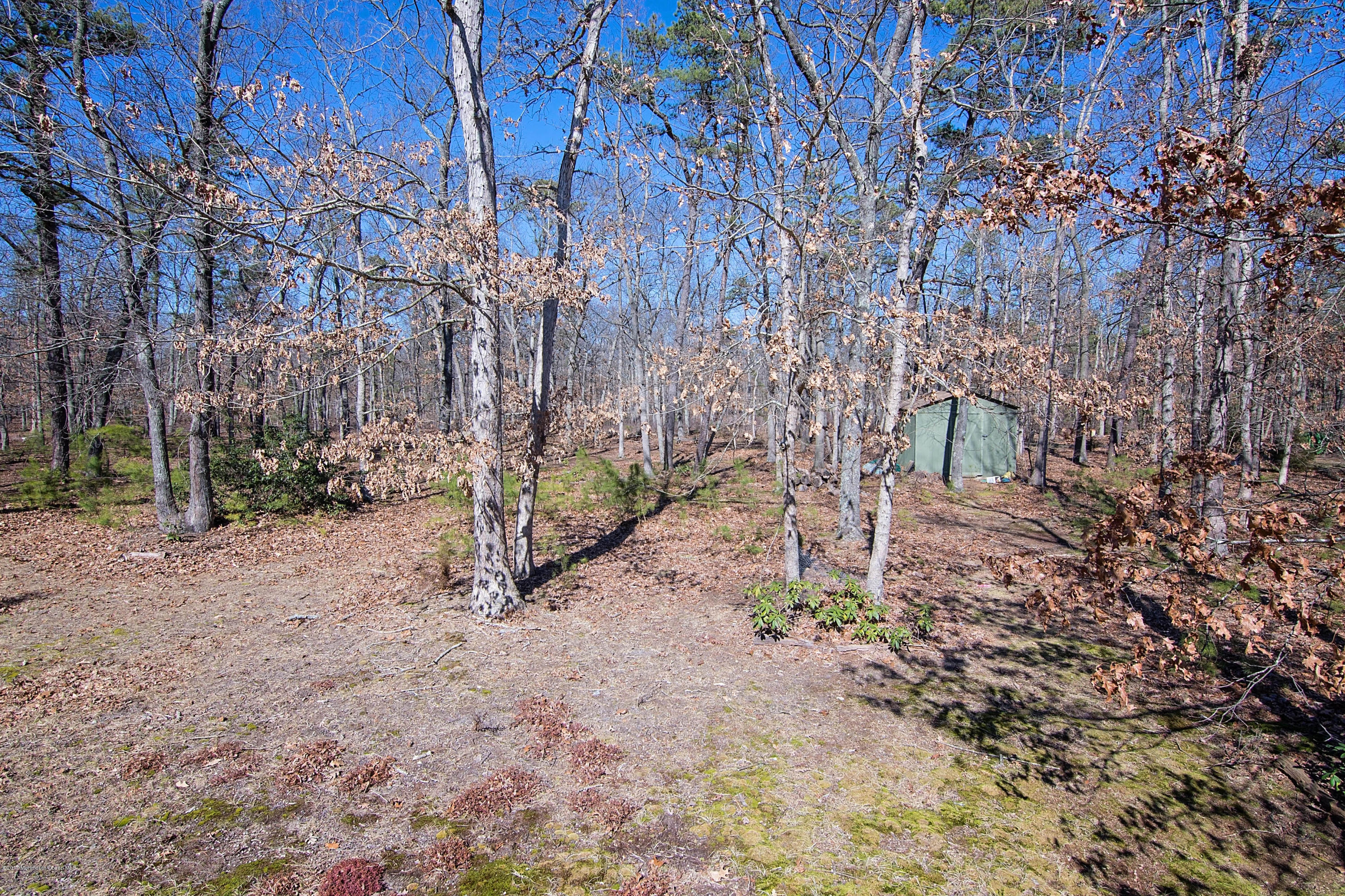 951 Toms River Road Jackson, NJ 08527 - Photo 30 of 32 _RMJ7913.jpg edit backyard