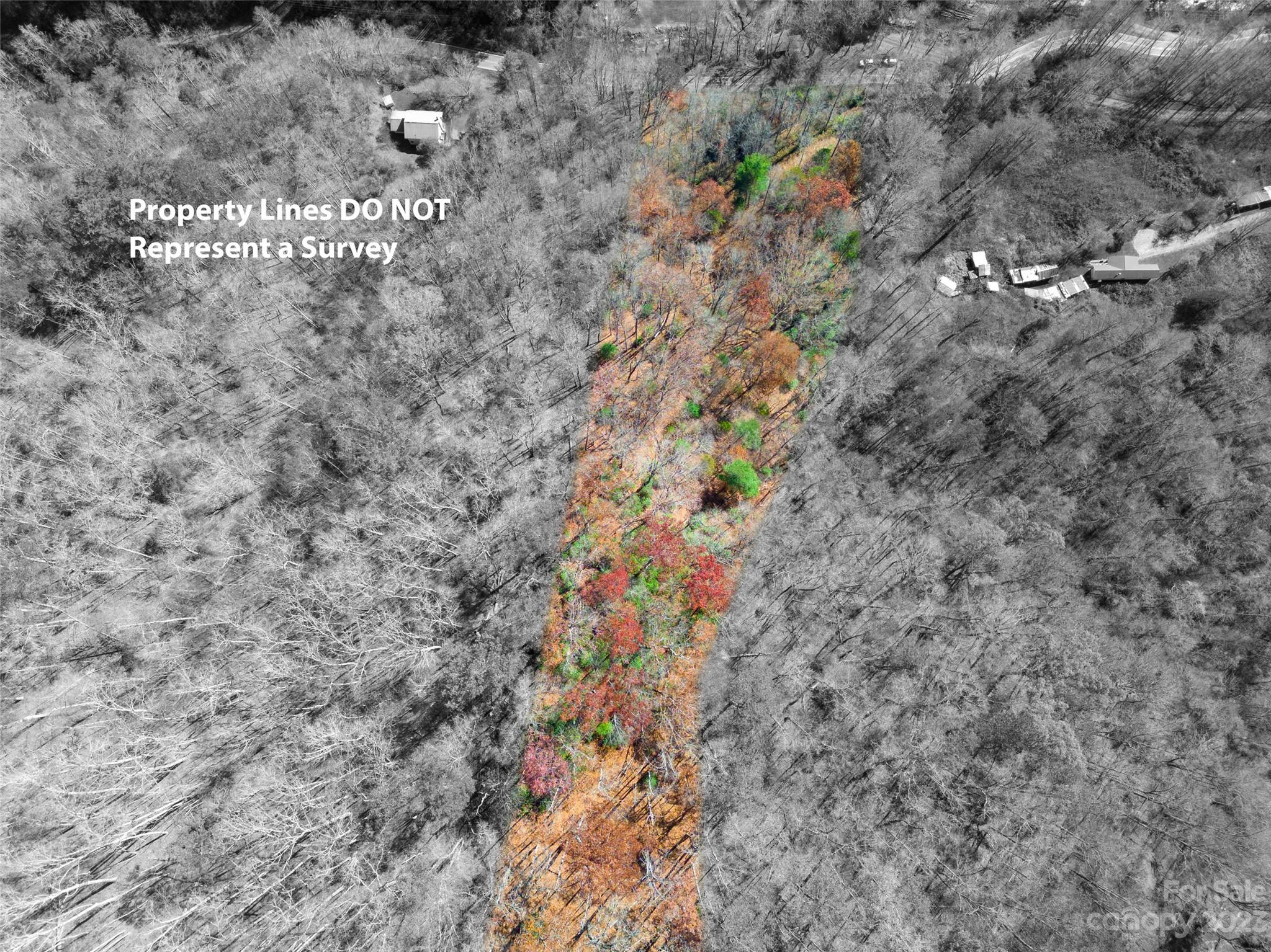 2611 Wayehutta Road Cullowhee, NC 28723 - Photo 11 of 17