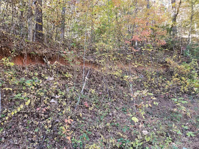 $40,000 | 2611 Wayehutta Road, Cullowhee, NC 28723