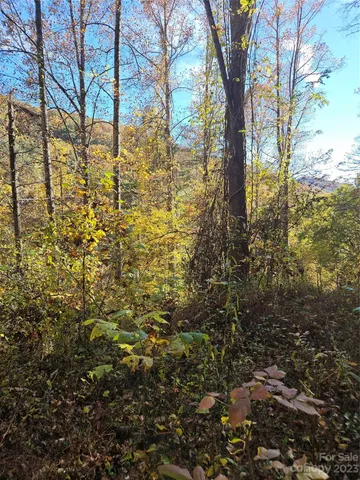 $40,000 | 2611 Wayehutta Road, Cullowhee, NC 28723